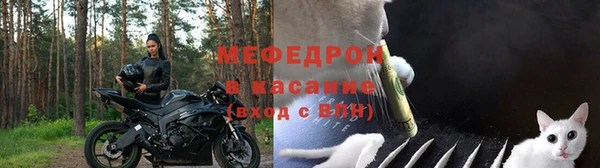 прущие грибы Балабаново