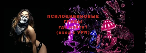 прущие грибы Балабаново