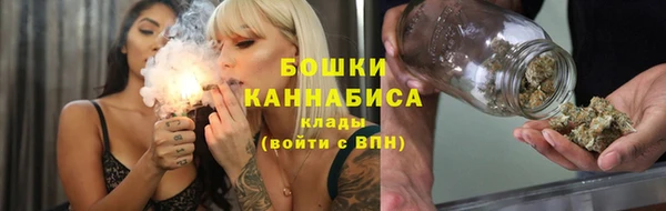 прущие грибы Балабаново