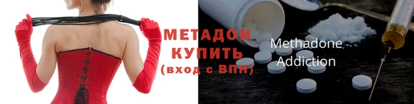 прущие грибы Балабаново