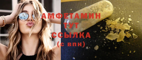 прущие грибы Балабаново