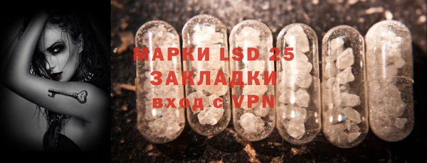 прущие грибы Балабаново