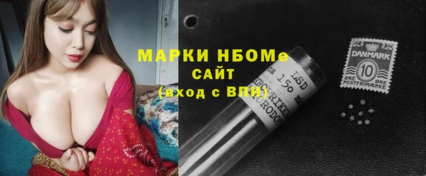 прущие грибы Балабаново